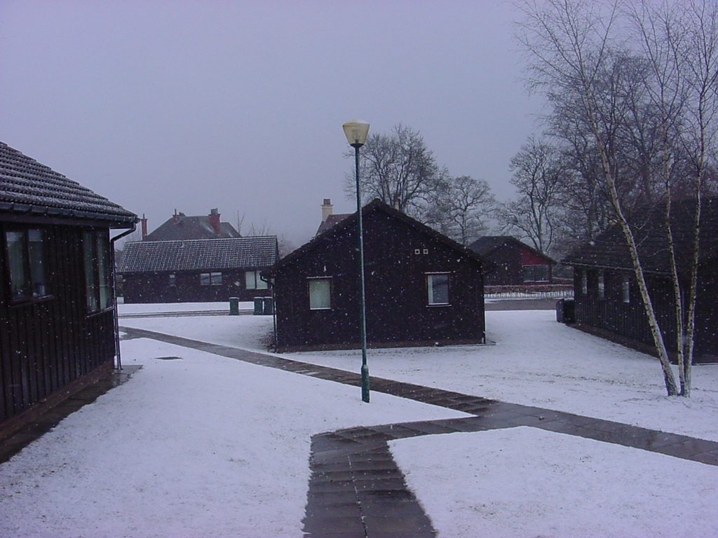 Chalets on campus